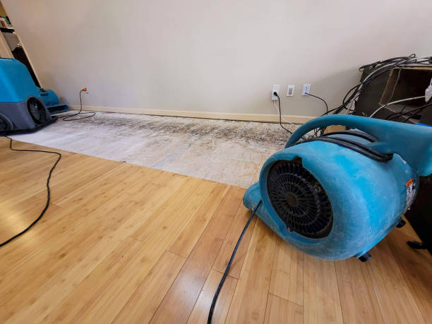 Professional Basement Flood Cleanup technician working in Somerville, NJ
